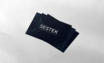 SESTEK Company <br> Brochure